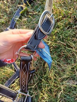 Kentaur, Equiline, F.R.A... - 9