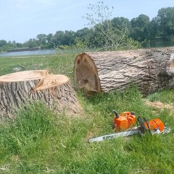 Hodinový manžel na všetko predávame drievko a pomáhame ľuďom - 9