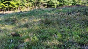 PREDAJ - POZEMOK NA SAMOTE DOLNÝ MILOCHOV OKRES POVAŽSKÁ BYS - 9