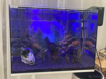 Zariadené akvárium 75l - 9