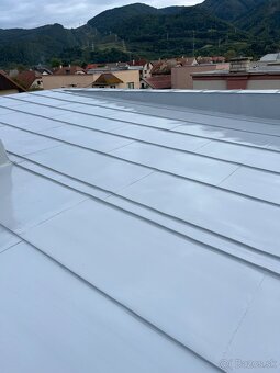 Malovanie striech - 9