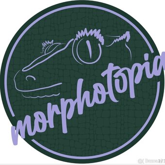 Pagekon riasnaty - C. ciliatus z vlastneho odchovu od 30€ - 9