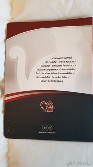 Kolekcia strieborných mincí - 9