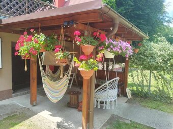 Chata pod hradom Červený kameň, PREDAJ alebo VÝMENA - 9