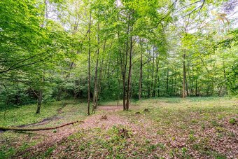 Pozemok v lone prírody s potôčikom– ideálny pre vašu vysníva - 9