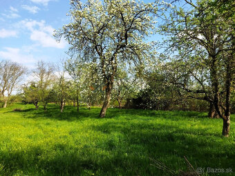 Na predaj rodinný dom s rozsiahlym pozemkom - 6 050 m²v Nižn - 9