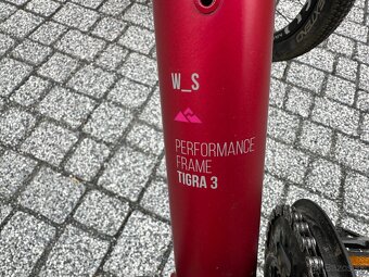 Dema Tigra - 9