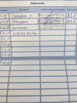 Nemecký Ovčiak - 9