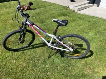 Detsky bicykel Amulet Superlite 24 - 9