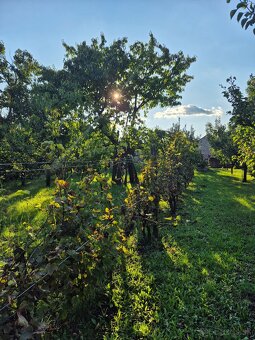 Vidiecky dom s výnimočnou záhradou v obci Méra - 9