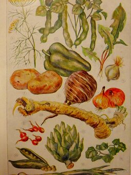 Praktická hospodynka I.-II., vydaná 1927 - 9
