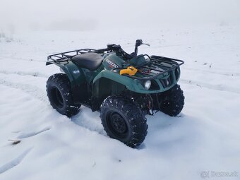 Yamaha grizzly 350 4x4 - 9
