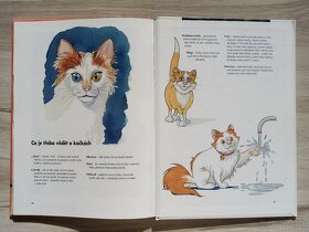 Moja prvá knižka o mačkách-Ingrid Andersson - 9