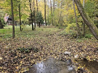 Rekreačný pozemok, 717 m2, Horné Bzince- Cetuna - 9