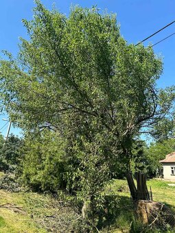 Dom s pozemkom 1570 m2, Štefanovičová, Nitra - 9