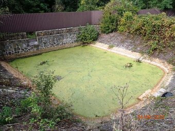Rodinný dom súp. č. 165, Nižná Rybnica, okr. Sobrance - 9