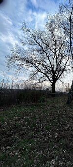 Investičný pozemok 2000 m2, Prešov - 9