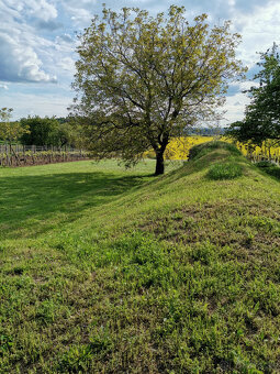 Podzem.veľká dvoj-pivnica, pozemok na chatu 5á, záhrada 18 á - 9