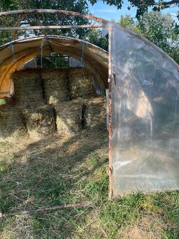 Seno tohtoročné - 9