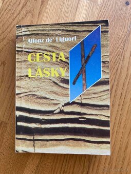 Chlapec,tory sa hral s Bohom,Carlo Acutis,Don Bosco - 9