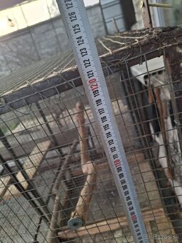 Voliery,klietky 6ks - 9