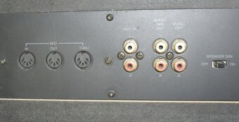 Digitální piano DEX 1000 - 9