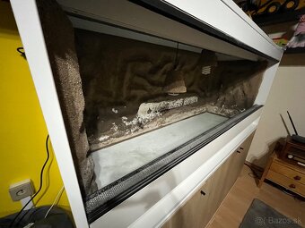 Terarium - 9