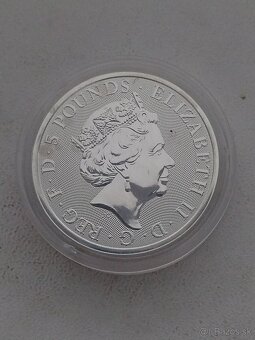 Strieborne investičné mince 1 OZ - 9