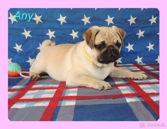 MOPS s PP. - 9