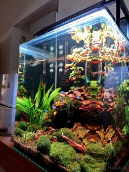 Akvárium NanoCube Dennerle 60l - 9