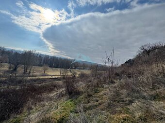 Na predaj: Rekreačný svahovitý pozemok v Šahách -11527m - 9
