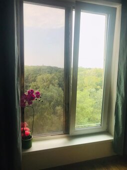 1-izbový apartmán-Rezidencia Draždiak - 9