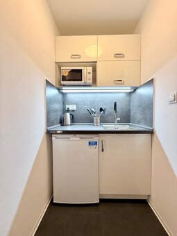 CENTRUM MESTA - VRÁTNA - 1 IZBOVÝ MODERNÝ ZARIADENÝ BYT. - 9