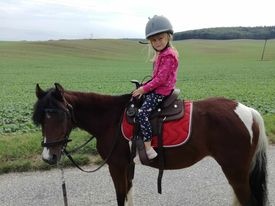 welsh  krasne kobylky - 9