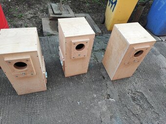 Búdka, búdky , papagáj - 9