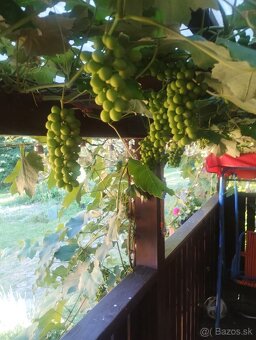 Predaj chaty pri Vinianskom jazere - 9