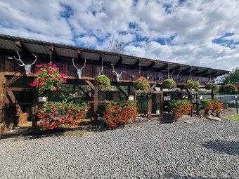 Voliery , klietky - 9