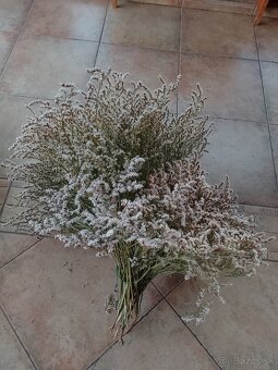 Sušena statica biela na vence 1kytica/8€ - 9