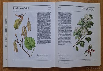 Velka kniha liecivych rastlin - 9