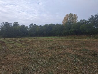 Mulčovanie. Čistenie pozemkov .traktor a minibager - 9