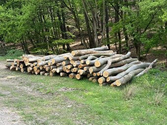 Palivové drevo Doprava ZADARMO do 20km - 9