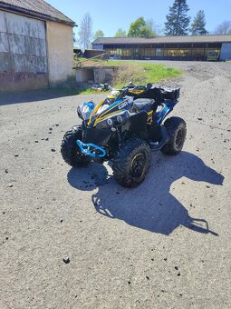 Can-am Renegade 1000 - 9