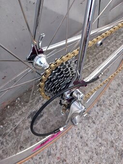 Vintage daccordi - 9