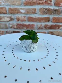 Dekorácie - Depot, IKEA - 9