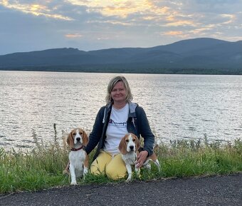 Bigel, bigl, beagle s PP - 9