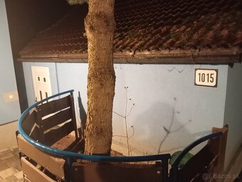 Prenajmem samostatný rodinný domček 50 m2, spoločný dvor - 9