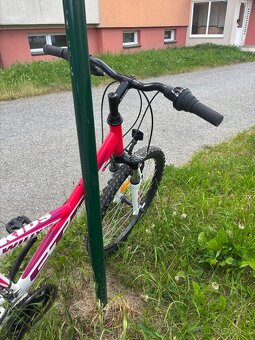 CTM Willy 24” – detský horský bicykel - 9