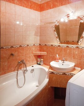 Ponúkame na prenájom 1-izbový byt s loggiou na Palárikovej u - 9