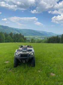 Kawasaki Brute Force 750 - 9