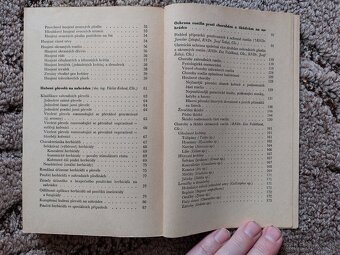 Chemie na zahrádce - Zakopal - 9